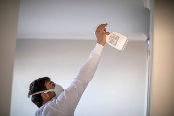 Best Home Mold Removal  in Greeneville, TN