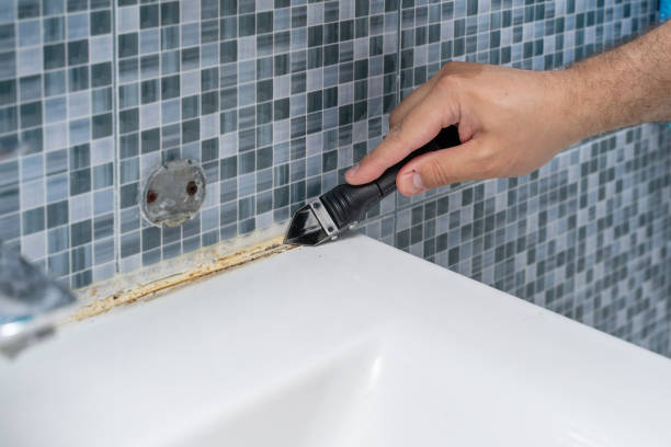 Best Fast Mold Removal  in Greeneville, TN
