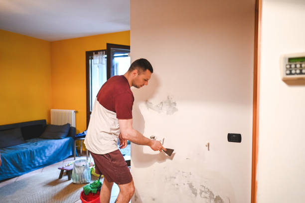 Home Mold Removal in Greeneville, TN
